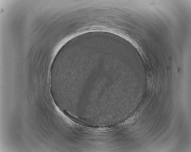 X0000087671527200705251606