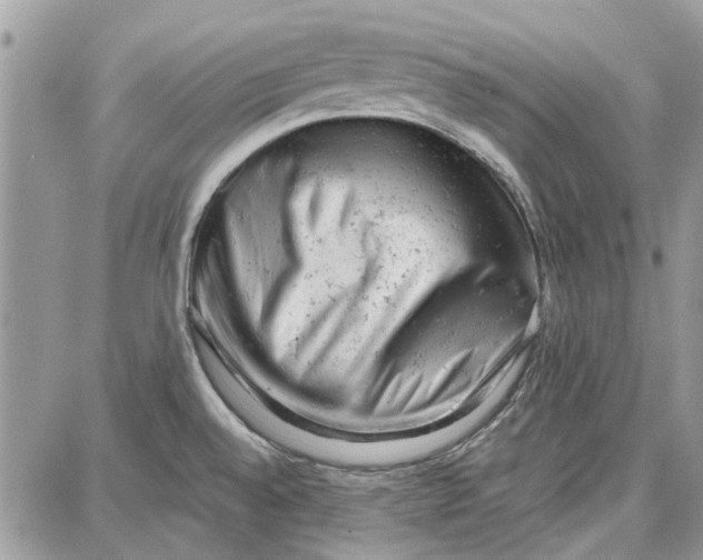 X0000087671528200705251606