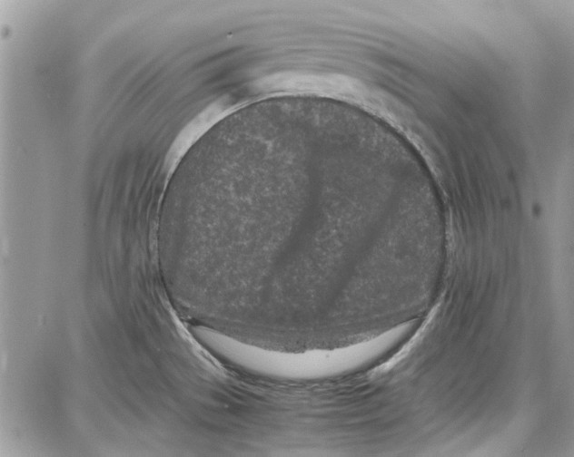 X0000087671529200705251606