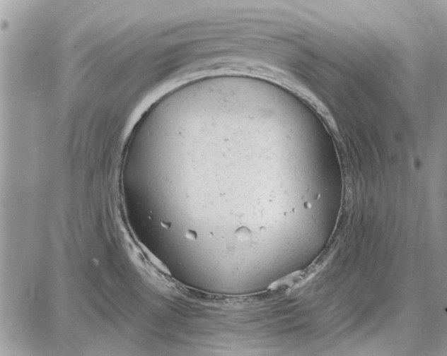 X0000087671530200705251606