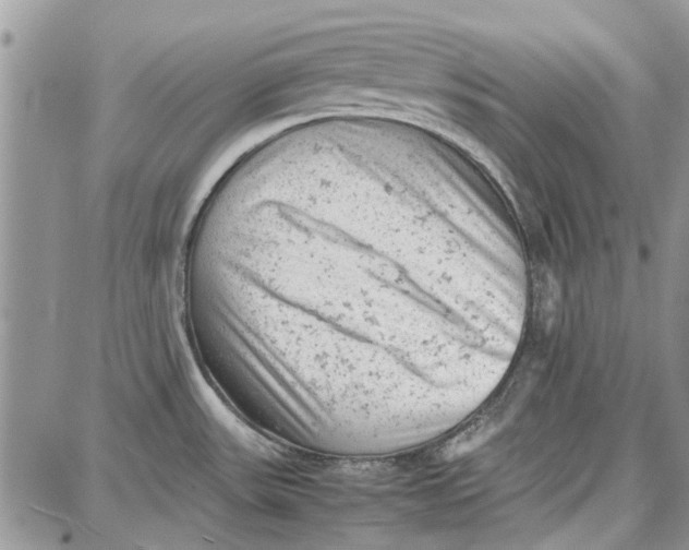 X0000087671531200705251606