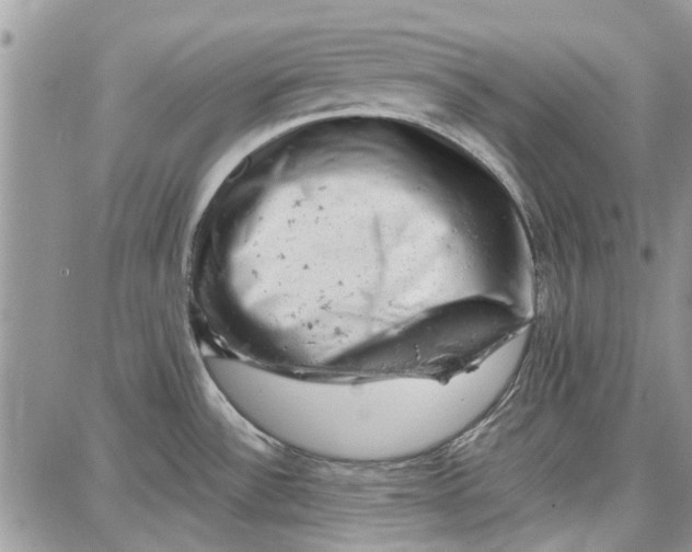 X0000087671532200705251606