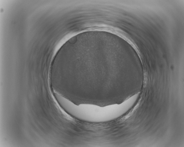 X0000087671533200705251606