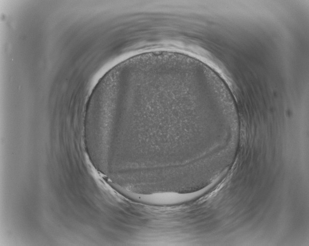 X0000087671534200705251606