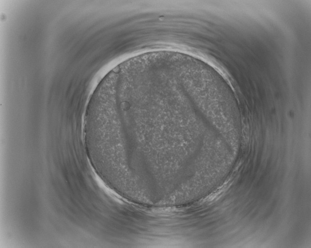 X0000087671535200705251606