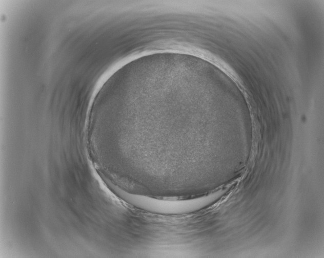 X0000087671536200705251606