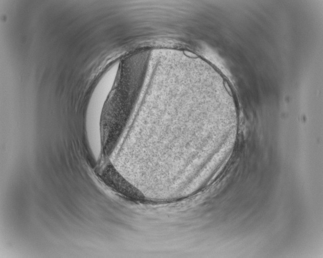 X0000087670013200706011640