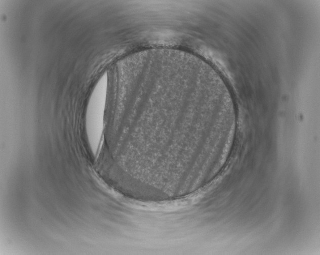X0000087670017200706011640