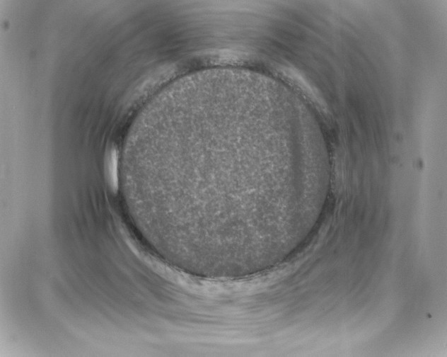 X0000087670022200706011640