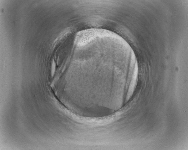 X0000087670023200706011640