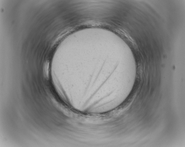 X0000087670024200706011640