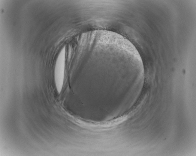 X0000087670027200706011640