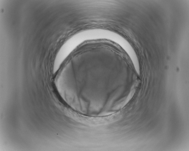 X0000087670031200706011640