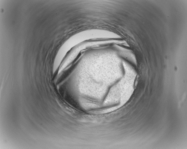 X0000087670033200706011640