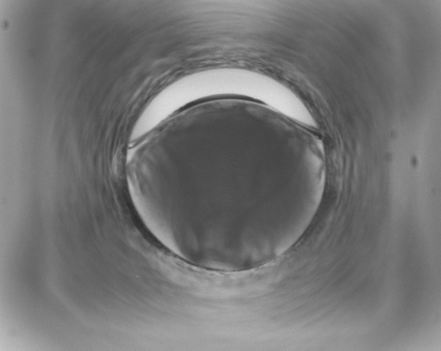 X0000087670035200706011640