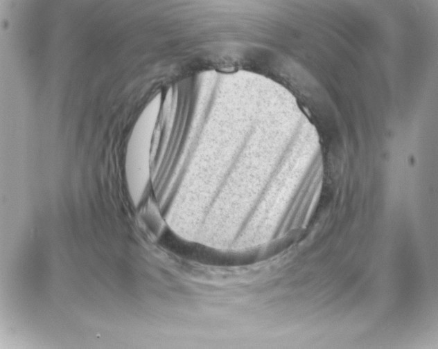 X0000087670037200706011640