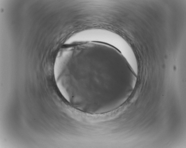 X0000087670039200706011640
