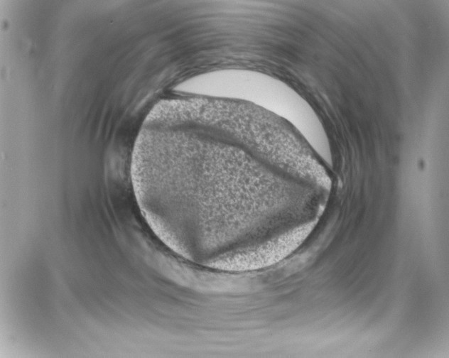 X0000087670044200706011640