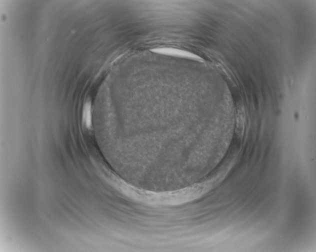 X0000087670046200706011640