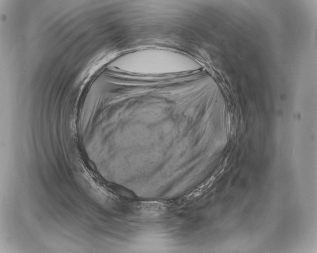 X0000087670050200706011639