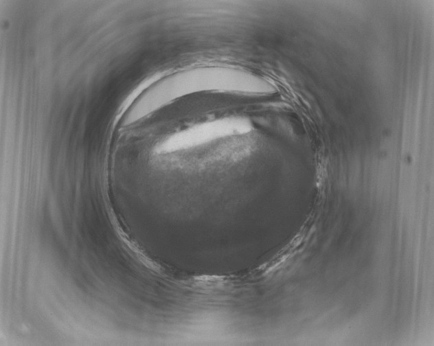 X0000087670052200706011639