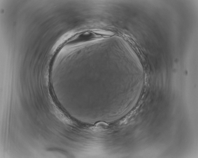 X0000087670054200706011639