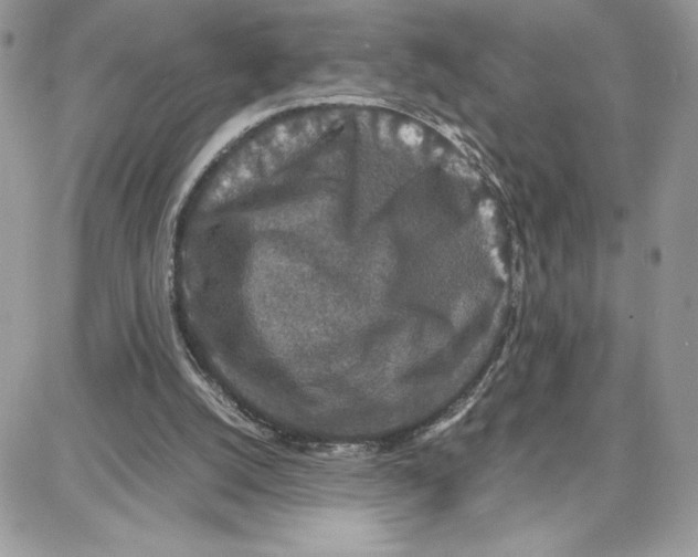 X0000087670056200706011639