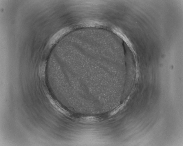 X0000087670058200706011639