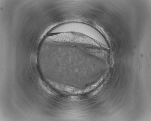 X0000087670060200706011639