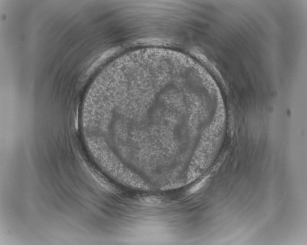 X0000087670062200706011639