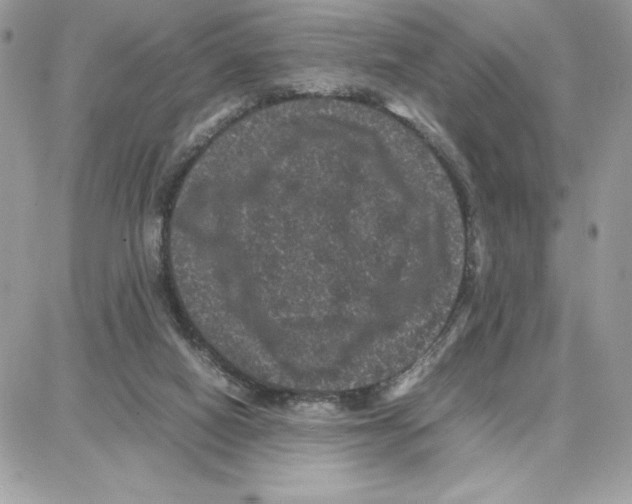X0000087670066200706011639