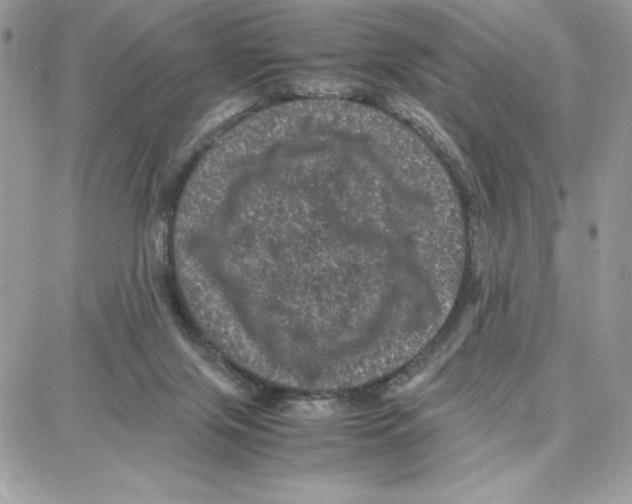 X0000087670071200706011639