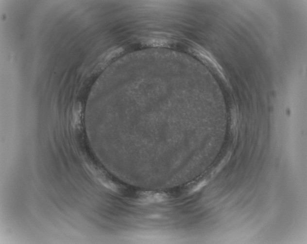 X0000087670073200706011639