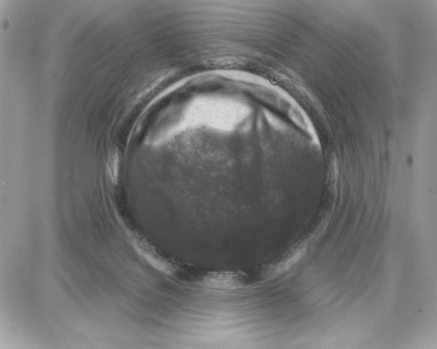 X0000087670076200706011640