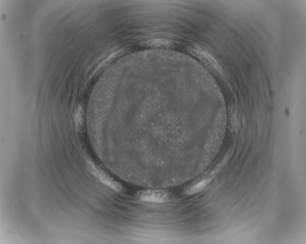 X0000087670077200706011640
