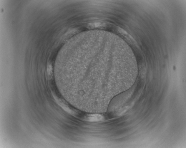 X0000087670087200706011640