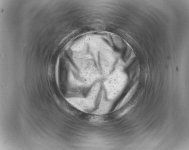 X0000087670088200706011640