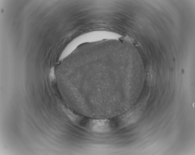 X0000087670089200706011640