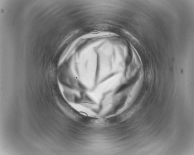 X0000087670092200706011640