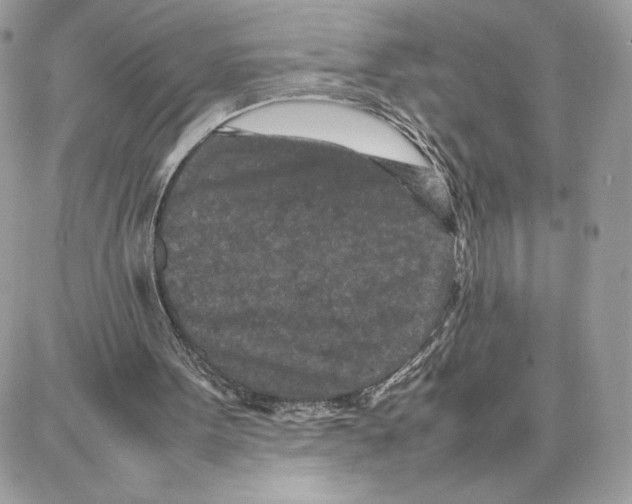 X0000087670099200706011639