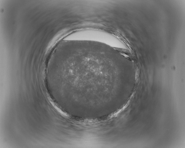 X0000087670101200706011639