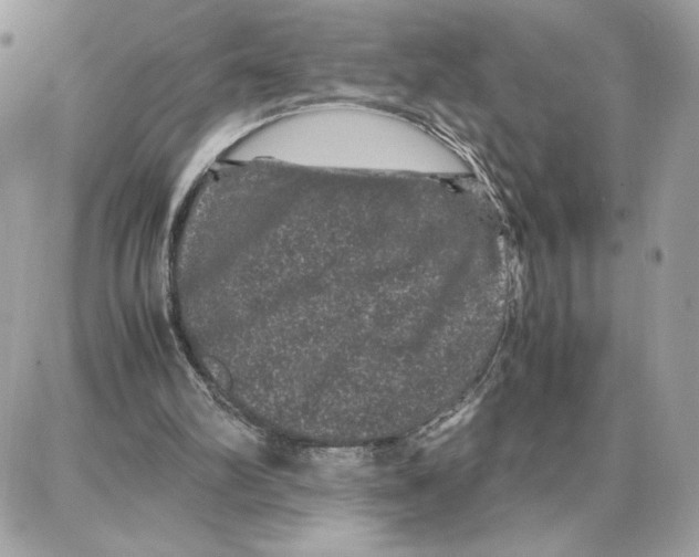 X0000087670102200706011639