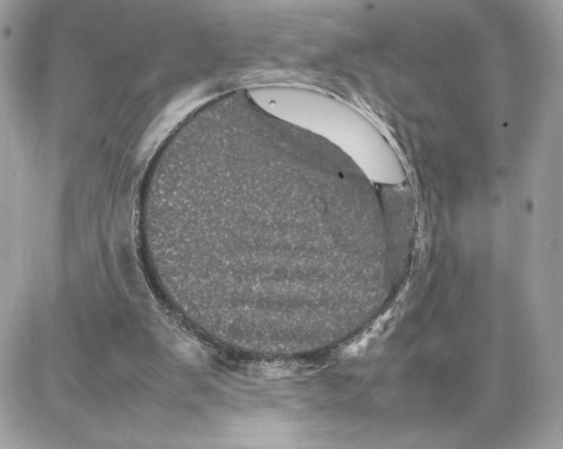 X0000087670103200706011639