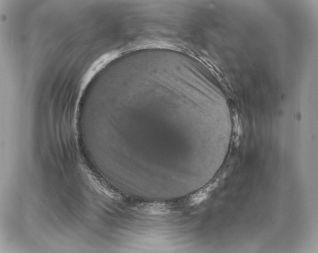 X0000087670104200706011639