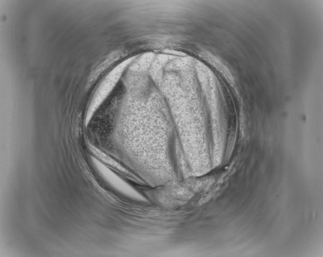 X0000087670105200706011639