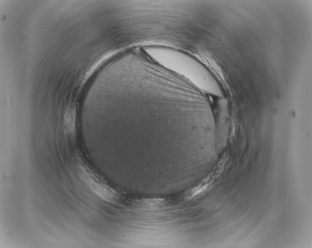 X0000087670108200706011639