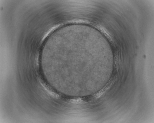 X0000087670112200706011639