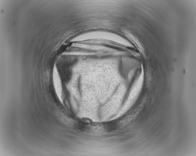 X0000087670113200706011639