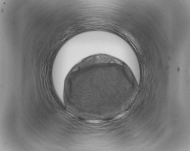 X0000087670121200706011639