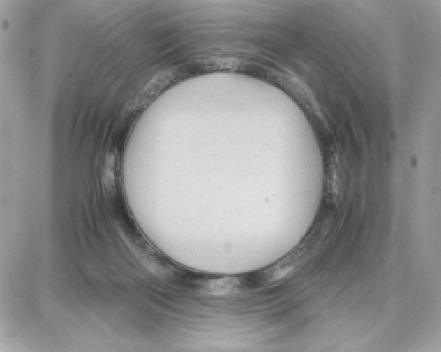 X0000087670122200706011639